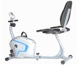 Saddle Adjustable Dynamic Fitness for home use Recumbent Bike RB6550